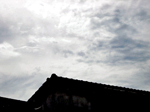 d200709-0016.gif