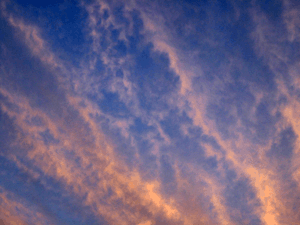 d200709-0028.gif