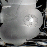 d200711-0004.gif