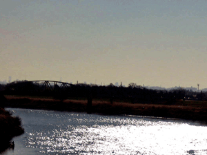 d200712-0020.gif