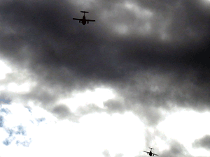 d200801-0011.gif