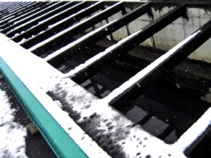 d200802-0004.gif