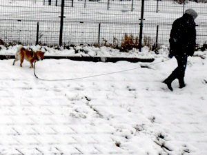 d200802-0005.gif