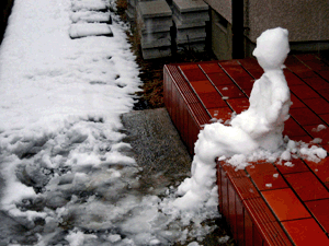 d200802-0008.gif