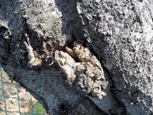 d200803-0019.gif