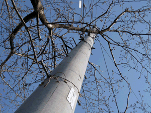d200803-0029.gif