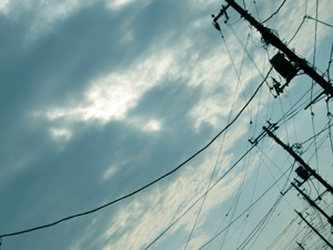 d200804-0021.gif