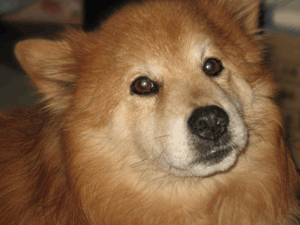 d200805-0010.gif