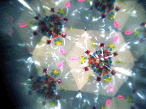 d200805-0038.gif