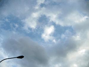 d200806-0010.gif