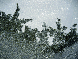 d200806-0011.gif