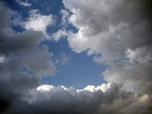 d200806-0013.gif