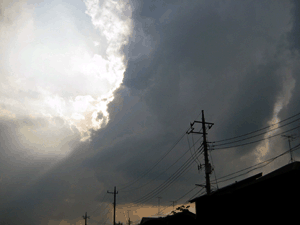 d200806-0014.gif