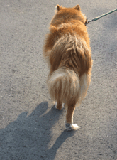 d200806-0040.gif
