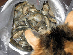 d200806-0045.gif