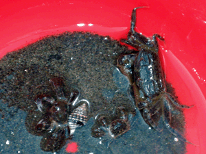 d200806-0046.gif