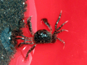 d200806-0047.gif