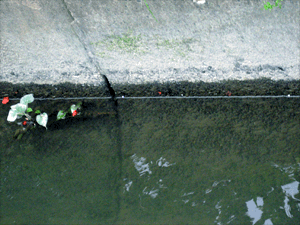 d200806-0056.gif