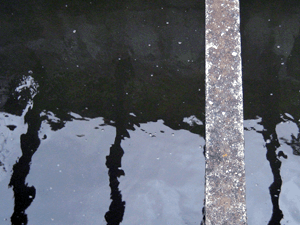d200806-0058.gif