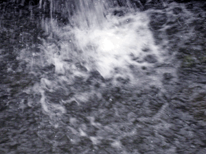 d200806-0059.gif
