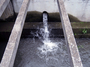 d200806-0060.gif