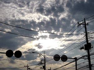 d200807-0013.gif