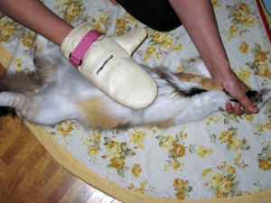 d200807-0032.gif