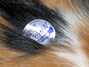d200807-0035.gif