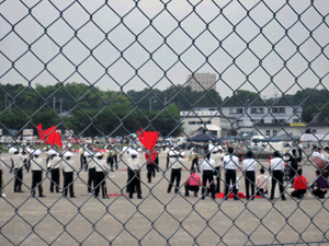 d200807-0041.gif