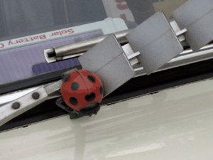 d200807-0046.gif