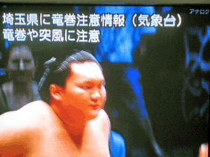 d200807-0054.gif