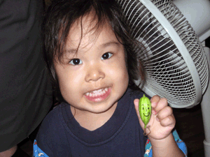 d200807-0073.gif