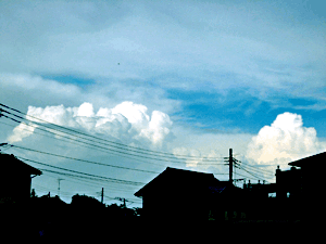 d200808-0040.gif