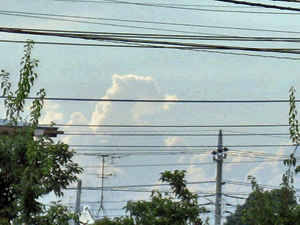 d200808-0041.gif