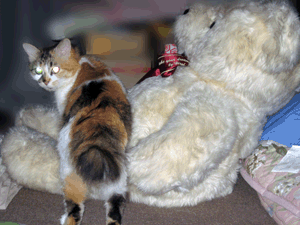 d200808-0053.gif