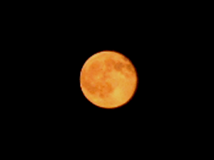 d200809-0024.gif