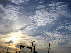d200809-0027.gif