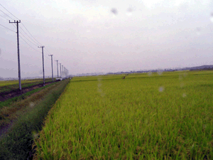 d200809-0031.gif