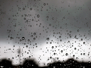 d200809-0036.gif