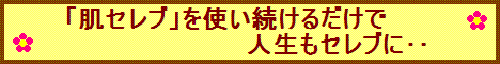 紹介者ゼロでも収入が激増