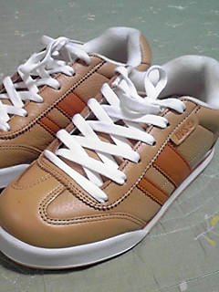 ＤＶＳ