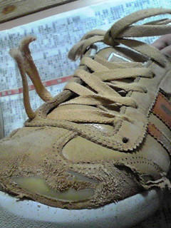 2008_02_19_5