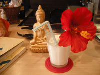 DSCF0482.jpg