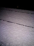 081107_2346~0001.jpg