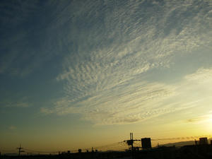 7d39262f.jpg