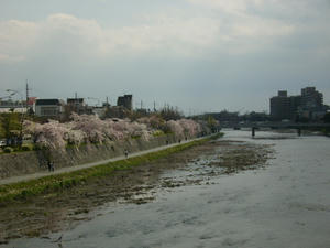 2008.3.28.1.jpg
