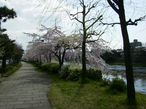 2008.3.28.2.jpg