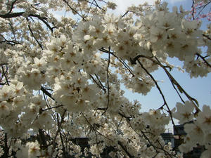 2008.3.28.3.jpg