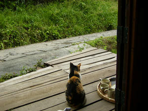 2008.5.11.3.jpg