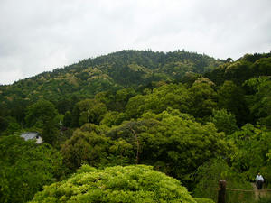 2008.5.11.8.jpg